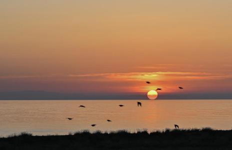 CORAL Suites - Foto 8