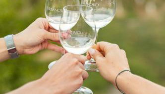 Boutique Wine and Wellness Retreat - Wine Residence Kerman - Foto 5