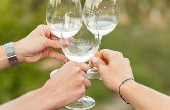 Boutique Wine and Wellness Retreat - Wine Residence Kerman - Foto 5