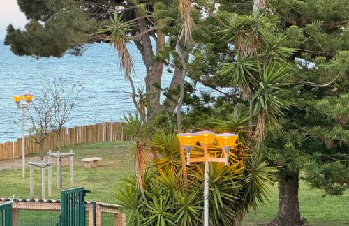 Appartement n 302 moriani plage - Foto 39