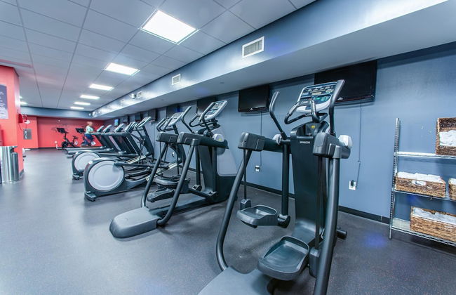 Emerald Beach 1036 - Turquoise Turtle - Foto 105