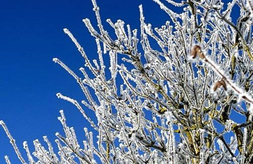 5-Sterne Wohlfühl-Ferienhaus Eifellust - Foto 4