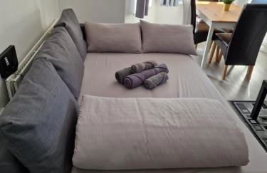 Comfortable 2 bedrooms flat in Oval Central London - Foto 14