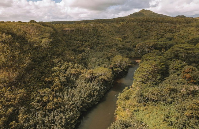 Kauai Plantation Hale Hotel - Foto 111