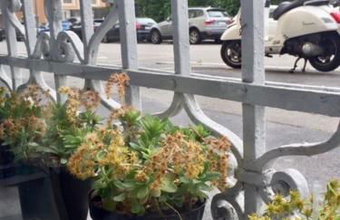 The Small White House In Milan - Foto 24