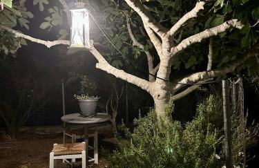 PargaLand Studios & Apartments - Photo 56