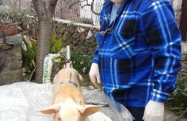 Apartments Jug - Foto 75