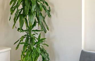 New cozy apartments in Crete Coast with pool and dining area - Photo 43