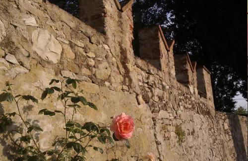 Il Palagetto - Photo 38