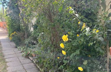 GITES - Mas Saint-Louis - Piscine chauffée - Foto 48