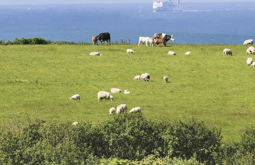 Rhyd Angharad Barns - Foto 17