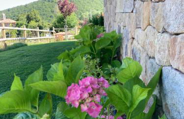 Los Chozos de la Braña - Foto 47