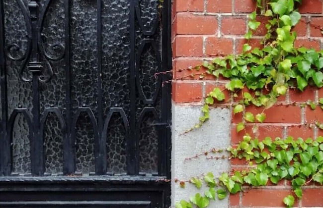 La Belle Vigne - Namur - Foto 14