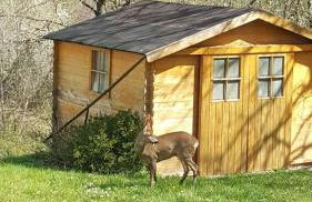 La Maison d’Isabel - Foto 61