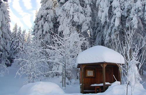Ferienhaus Waldblick - Foto 13