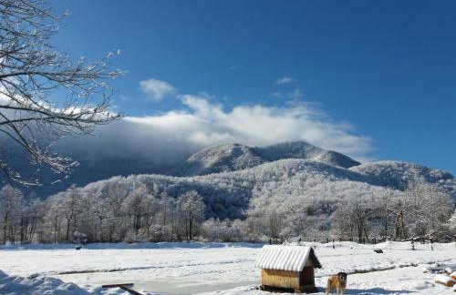 Kuća za odmor DIKKA Brušane Lika - Photo 49