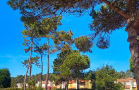 Sea Twins Villas - Foto 27