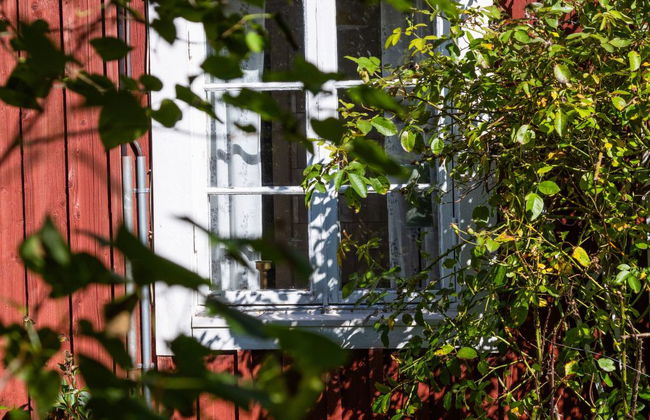 1 bedroom House in Färgelanda with garden - Photo 34