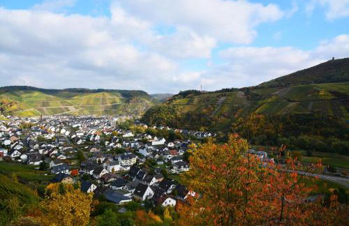 Winzer Lounge Ferienwohnung - Foto 15