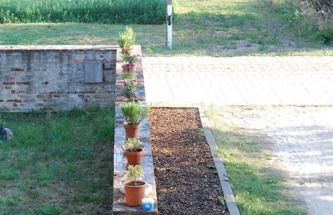 Ferienwohnung auf Pferdehof bei Neustadt - Foto 21