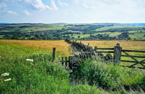 Maywalk House B&B - Photo 12