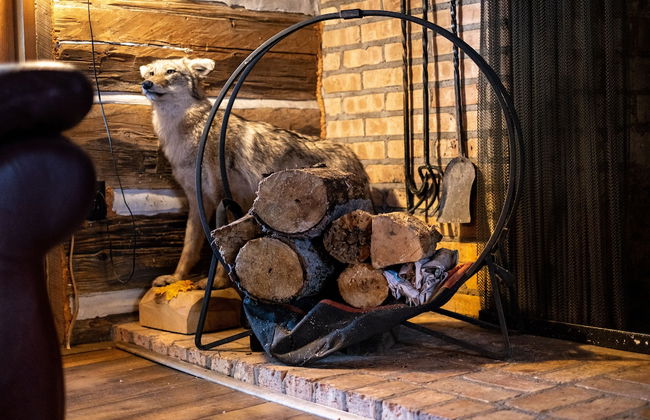 Uncle Tom's 3BDR Cabin For Nature Lover - Foto 44