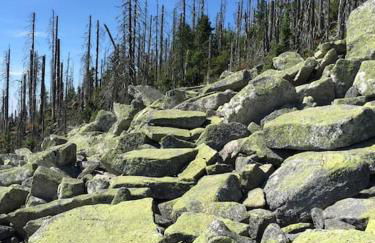 Ferienwohnung Anita - Foto 48