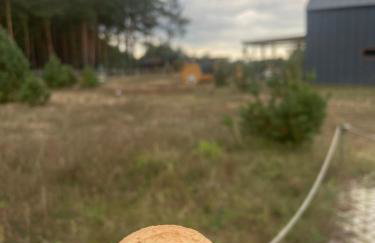 Sworna łąka z zewnętrznym SPA- sauna, jacuzzi, balia - Foto 38