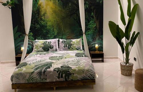 Jungle - house of wellness - Foto 12