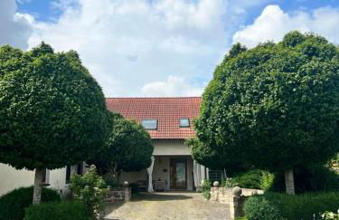 Indigo Terra - Foto 12