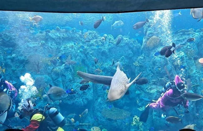 Cozy Retreat Near Downtown Perfect for Families - Foto 63