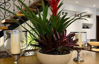 Casa Azaléia - Casas Serranas - Foto 23