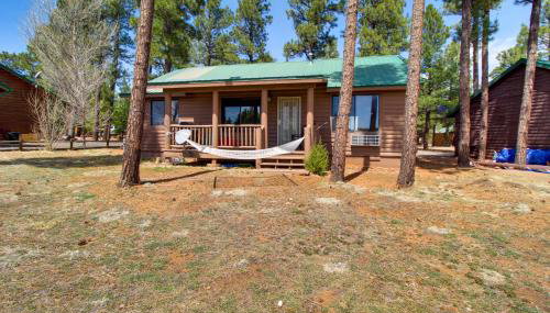 Families Welcome! Overgaard Cabin with Playground - Foto 3