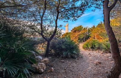 Apartamento mar y montaña Alcossebre - Photo 14