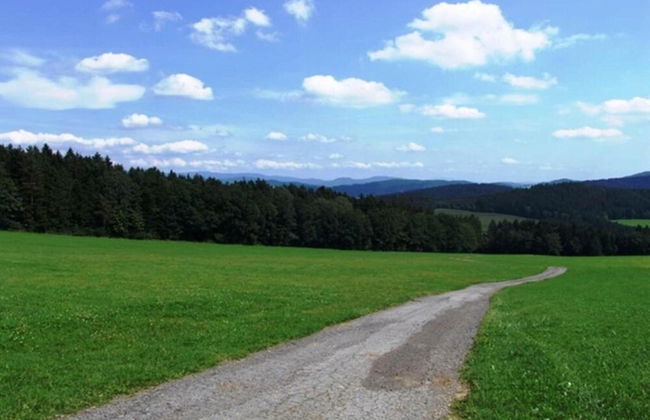 Ferienwohnung im Bayerischen Wald mit Terrasse - Photo 38