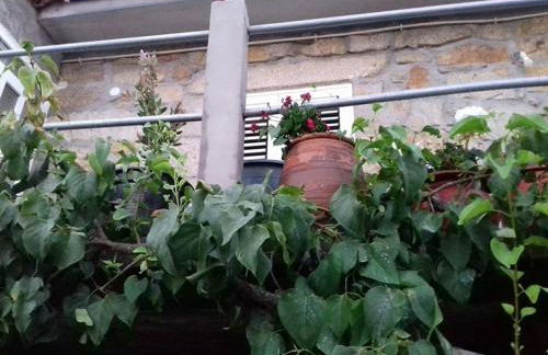 Casinha de Lamares - Foto 13