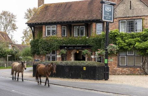 Little Exbury - Foto 51