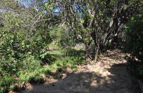 2BA Domaine Malacucina Lumio - Foto 59