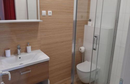 Apartments Dobrila - Foto 56