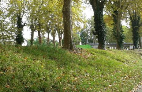 Gîte Des Vergers - Foto 11