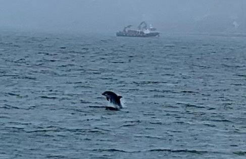 Mirador da Granxa - Foto 23