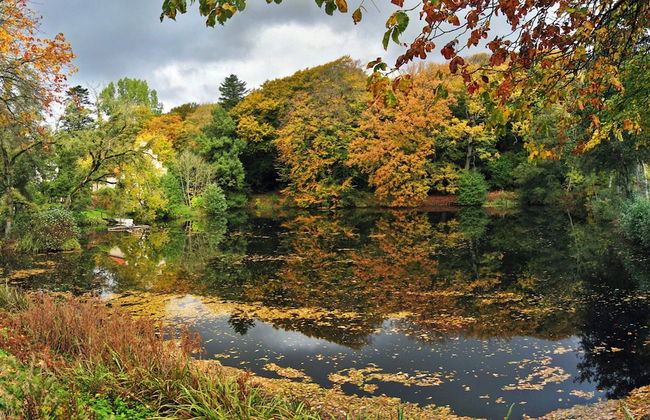 6 Person Holiday Home in Oster Assels-by Traum - Foto 8