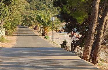 Apartmani Teuta - Foto 1