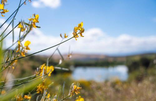 Málaga Sierra de las Nieves by Real Spain Hotels Adults Recommended - Foto 64