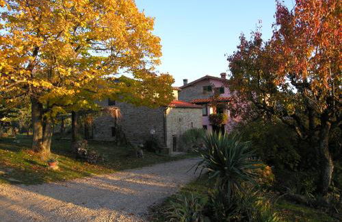 Agriturismo Botro - Foto 42