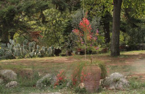 Holiday Home Botanica - Foto 50