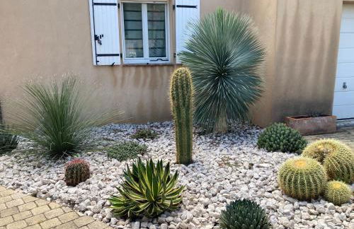 Les restanques de la Panouse - Foto 18