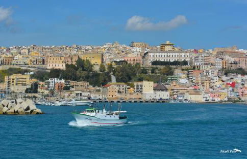 Cocciu d'amuri - Foto 44