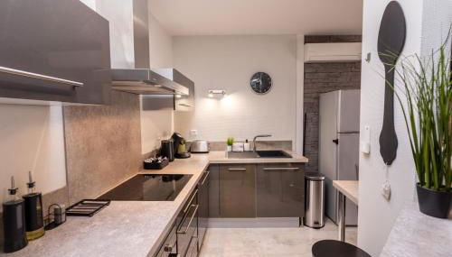 Le Canopé - Duplex Confort, Hypercentre, 2 Salles d'eau - Photo 5, stove, dishwasher