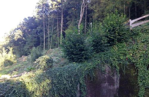 Moselschön Comfortable holiday residence - Foto 20